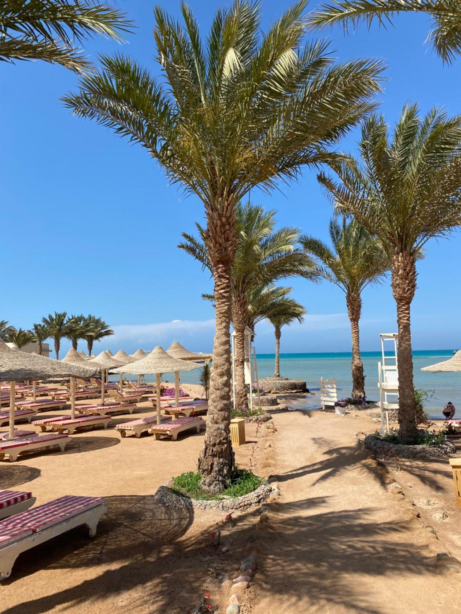 Aparthotel In El Karma Aqua Near El Gouna 3 Hurghada